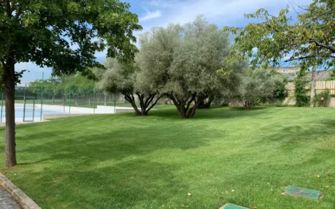 3bdabf93-dd95-463b-9e1d-c2fe08ee403b